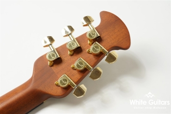 【The Celebrity Collection】 Celebrity Elite Exotic Mid Depth(CE44P)-Spalted Maple